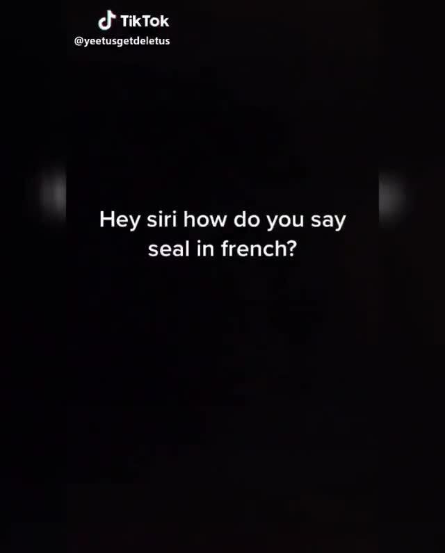 of-tiktok-yeetusgetdeletus-hey-siri-how-do-you-say-seal-in-french