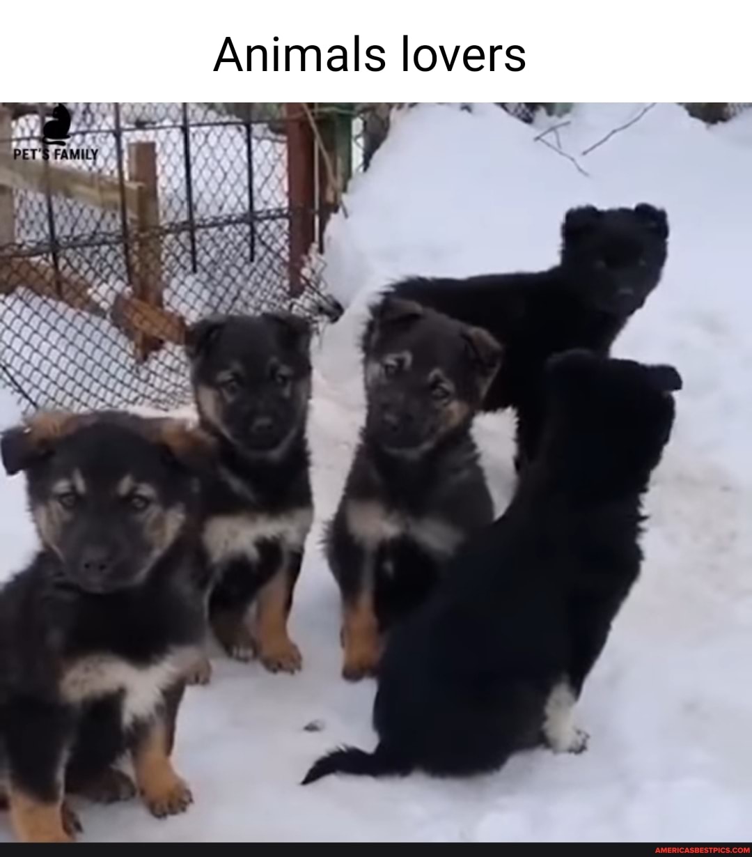 Animals lovers