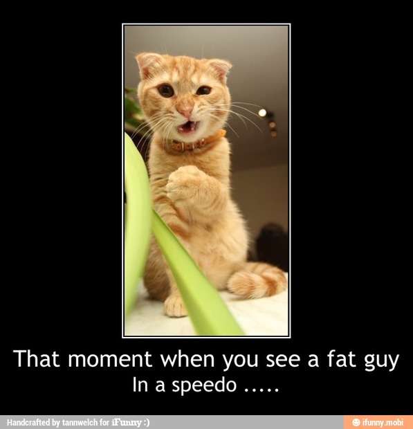 That moment when you see a fat guy
In a speedo .....