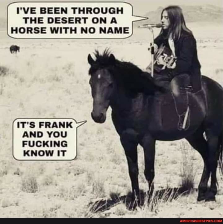 I'VE BEEN THROUGH THE DESERT ON A HORSE WITH NO NAME-
IT'S FRANK 7
AND YOU FUCKING
KNOW IT