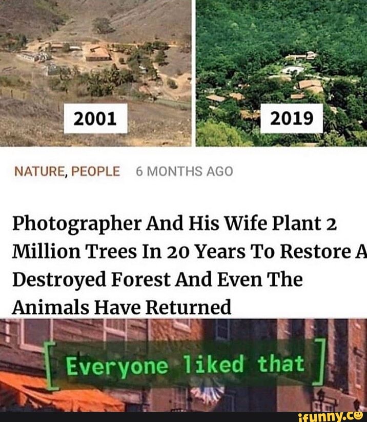 NATURE, PEOPLE 6 MONTHS AGO Photographer And His Wife Plant 2 Million ...