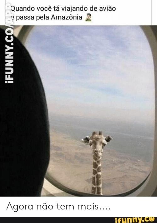 Quando você tá viajando de avião passa pela Amazônia 2
es
Agora não tem mais....