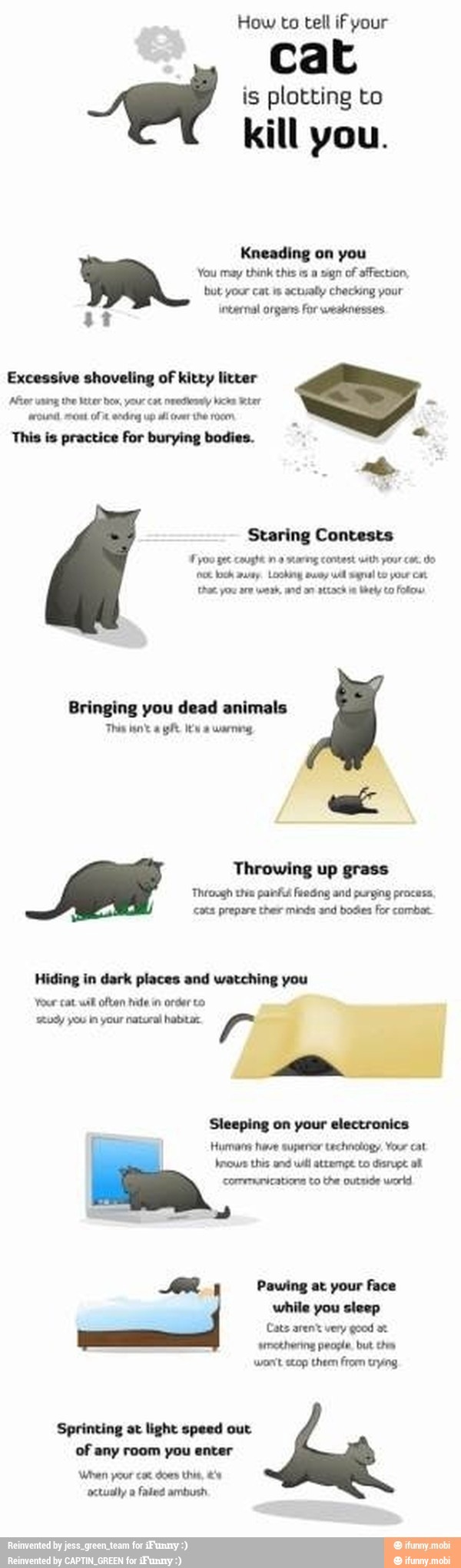 How to tell iF your
cat
is plotting to
kill you.
Kneading on you
You may think this a sign of affection,
but your cat is actually checking your
internal organs For weaknesses
11
Excessive shoveling of kitty litter
This is practice For burying bodies. Staring Contests
Fyo0 gee cought no sarng contest with pour cor. do
pa loc a Looking away uel al Lo pour cm.
that, you are weak, ard on attack ie bel Co fofiow
Bringing you dead animals
Throwing up grass
Through tha painha fesáng and purging process.
cora prepare ther minds and bodies for combat.
