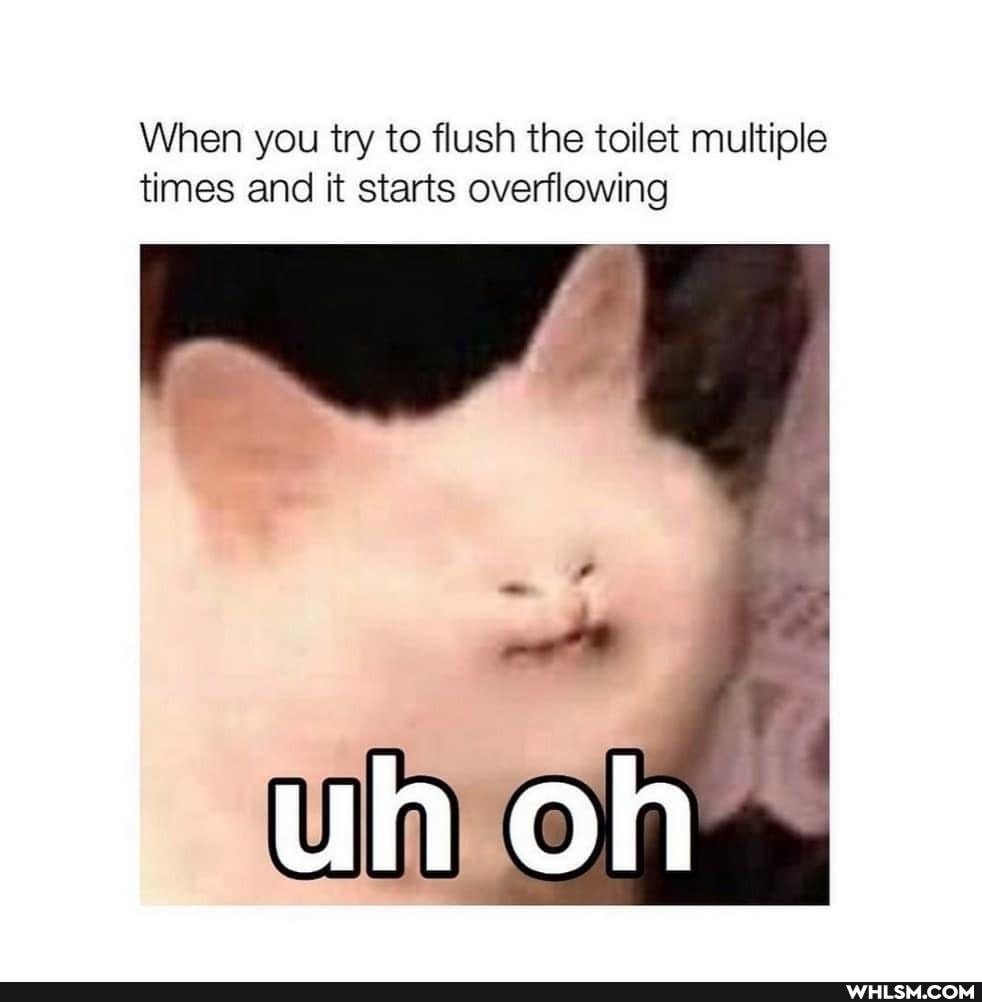 When you try to flush the toilet multiple times and it starts overflowing