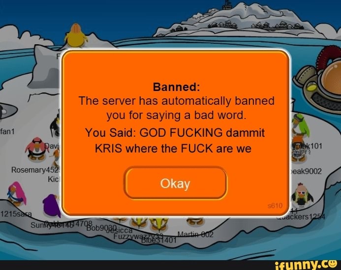 banned-the-server-has-automatically-banned-you-for-saying-a-bad-word