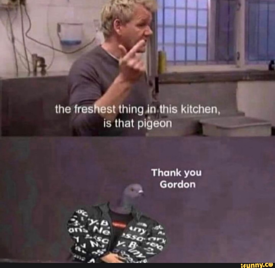 the freshest thing In this kitchen, is that pigeon
Thank you
Gordon
Ry A,