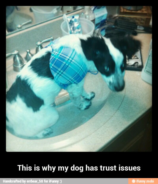 This is why my dog has trust issues - This is why my dog has trust issues