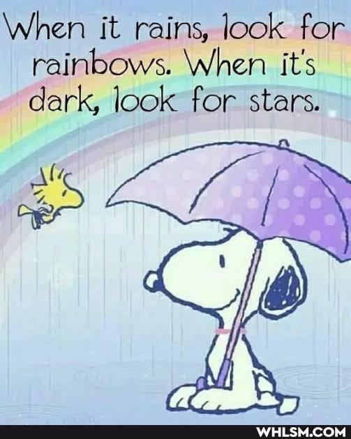 When it rains, look for rainbows. When it's dark, look for stars.