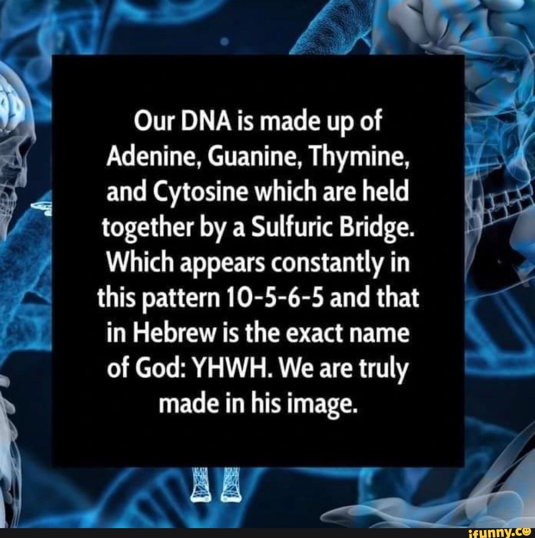 Our DNA is made up of Adenine, Guanine, Thymine, and Cytosine which are