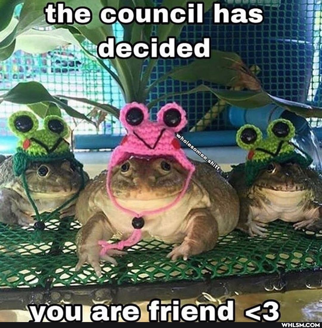 _the council has decided
maiare friend