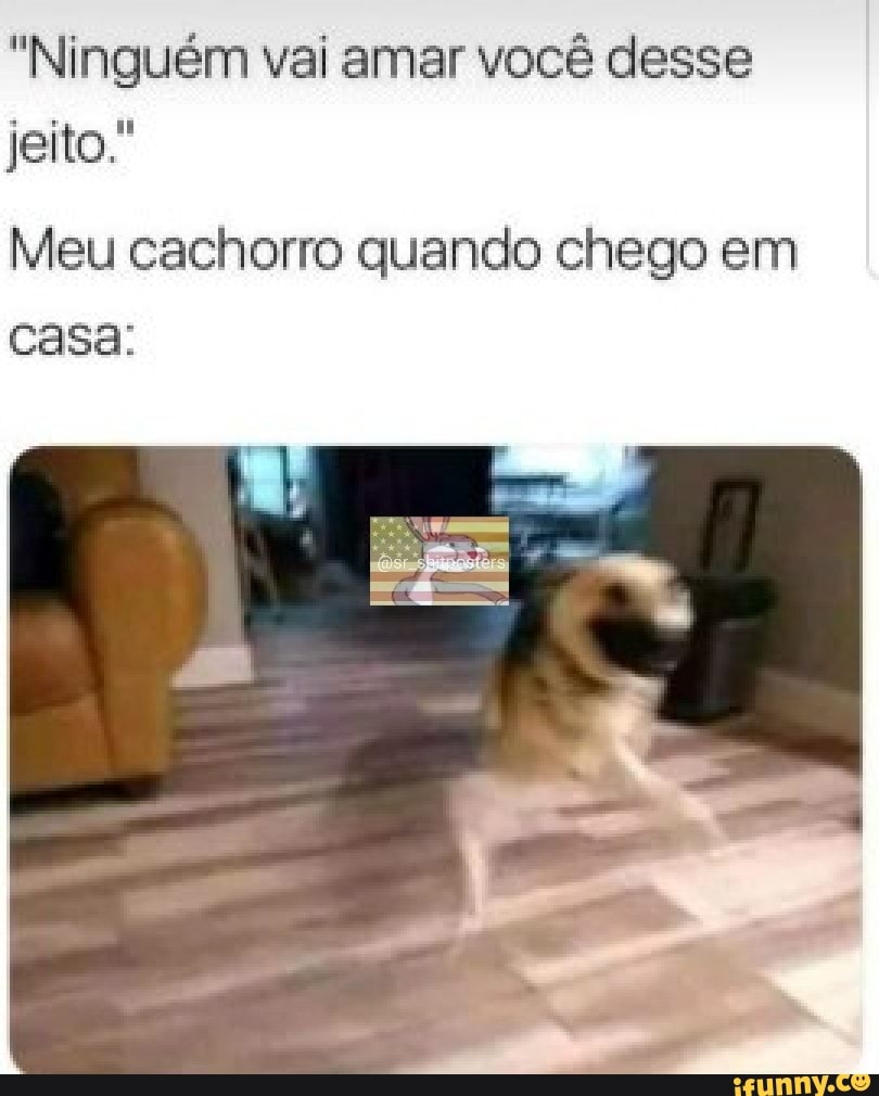 "Ninguém vai amar você desse
jeito."
Meu cachorro quando chego em
casa: