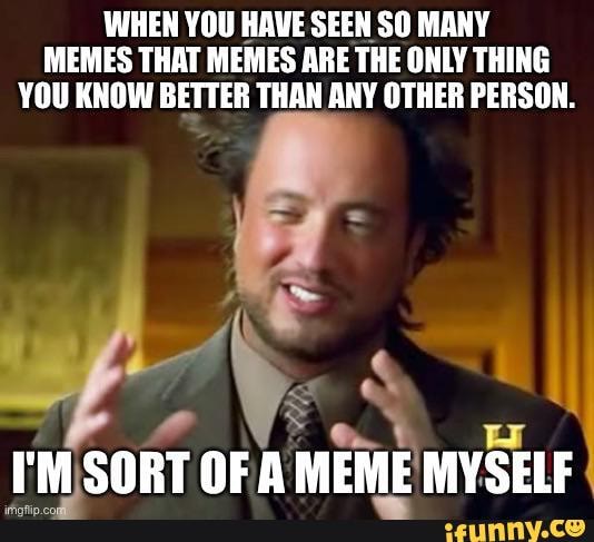 WHEN YOU HAVE SEEN SO MANY MEMES THAT MEMES ARE THE ONLY THING YOU KNOW ...