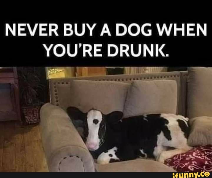 NEVER BUY A DOG WHEN YOU'RE DRUNK. - )