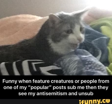 Funny when feature creatures or people from one of my "popular" posts sub me then they see my antisemitism and unsub - Funny when feature creatures or people from one of my “popular” posts sub me then they see my antisemitism and unsub