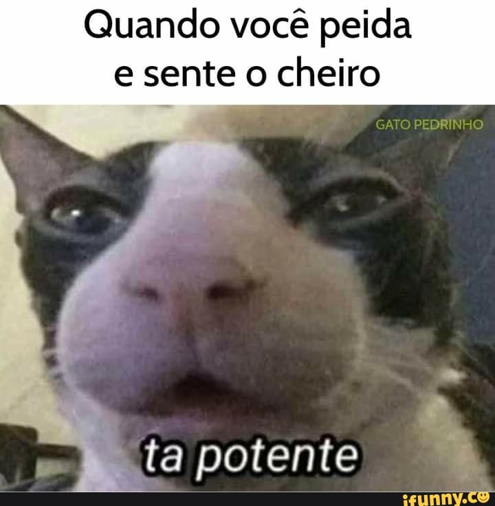 Quando você peida e sente o cheiro
GATO PEDRINHO
ta potente