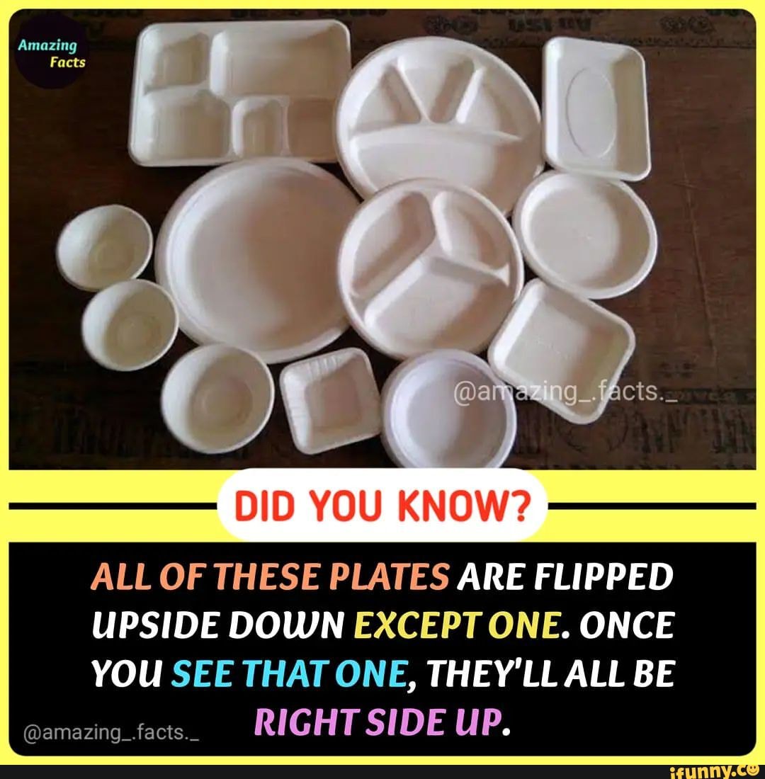 Amazing Facts DID YOU KNOW? ALL OF THESE PLATES ARE FLIPPED UPSIDE DOWN ...