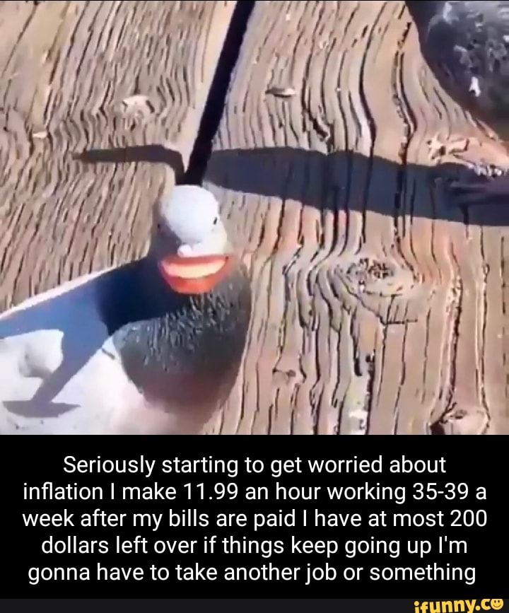 Seriously starting to get worried about inflation I make 11.99 an hour working 35-39 a week after my bills are paid I have at most 200
dollars left over if things keep going up I'm gonna have to take another job or something