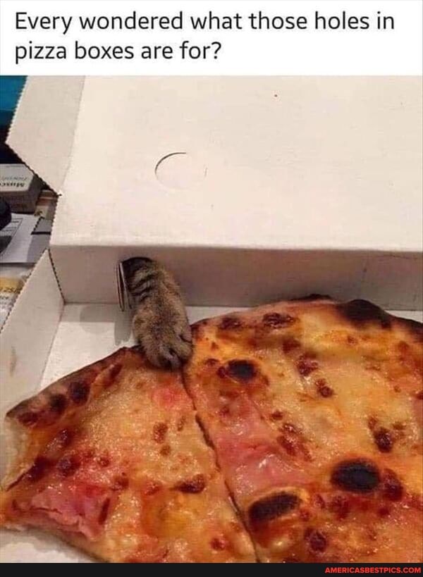 Every wondered what those holes in pizza boxes are for?