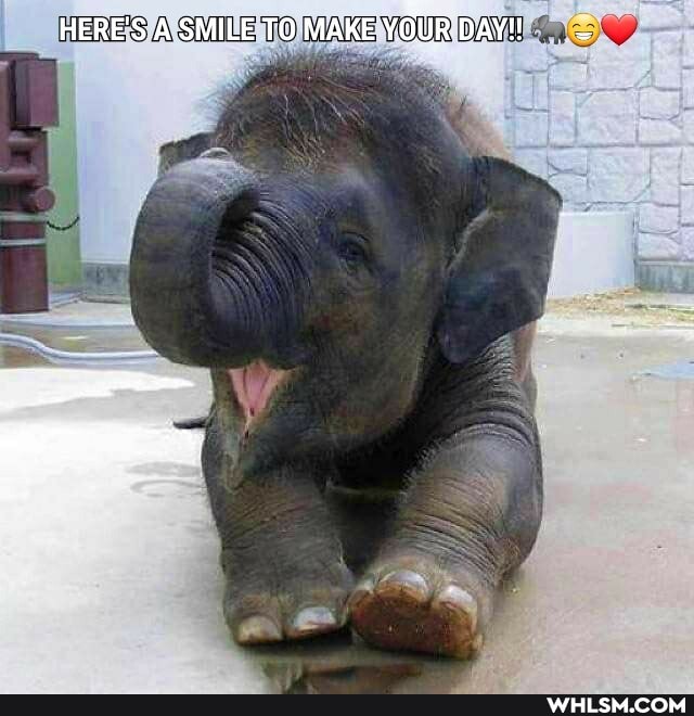HERE'S A SMILE TO MAKE YOUR DAY!