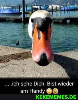 ich sehe Dich. Bist wieder