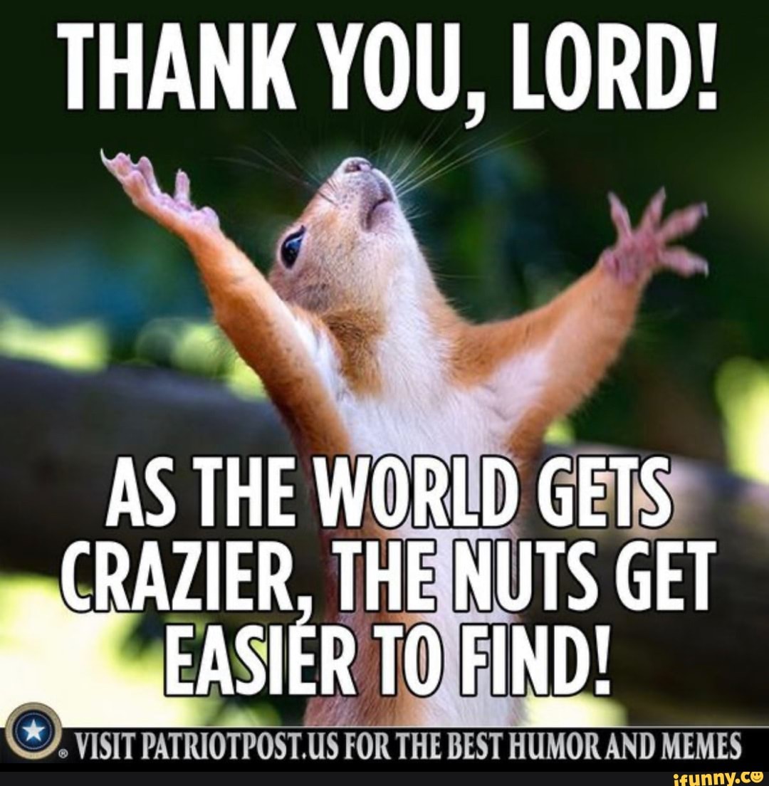 THANK YOU, LORD! AS THE WORLD GETS CRAZIER, THE NUTS GET EASIER TO FIND ...