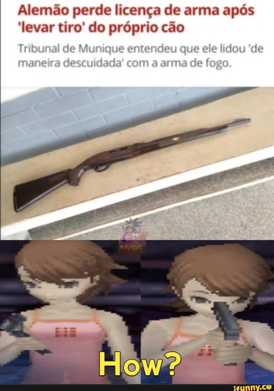 Alemão perde licença de arma após levar tiro' lo próprio cão
Tribunal de Mur que entendeu que e e lidou de mane ra deseu dada coma a ma de fogo.