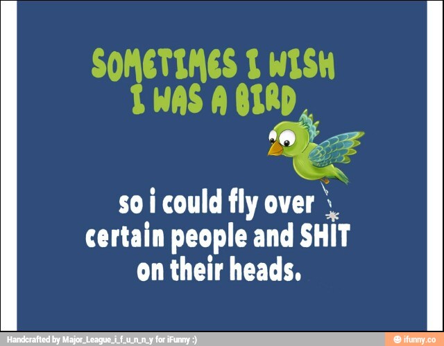 SOMETIMES T WISH
TWAS A i
soi could fly over
certain people and SHIT
on their heads.