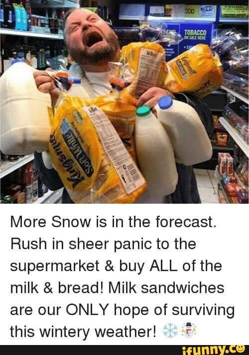 More Snow is in the forecast. Rush in sheer panic to the supermarket ...