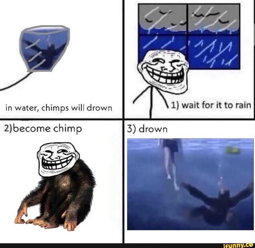 Walt For To Rain In Water Chimps Will Drown Chimp 3 Drown Ifunny