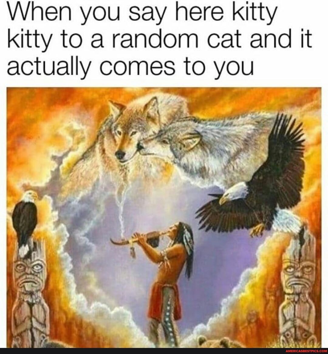 When you say here kitty kitty to a random cat and it
actually comes to you