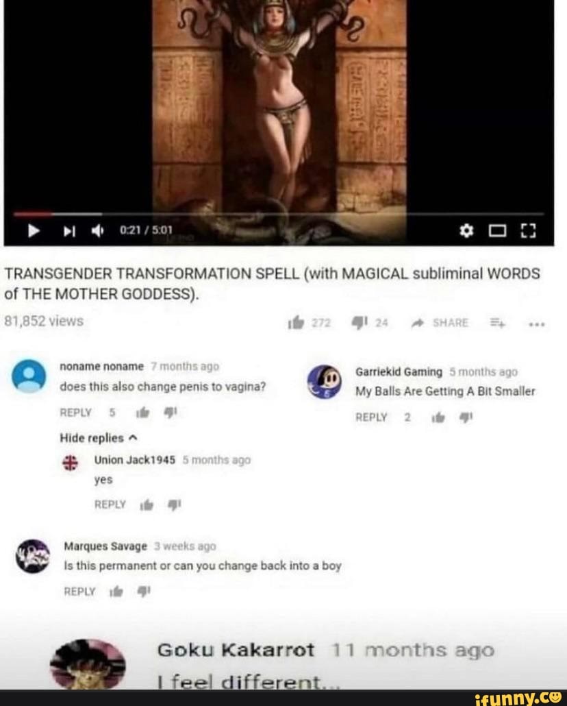 Vagina To Penis Transformation