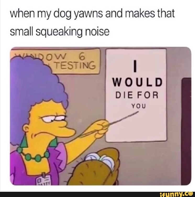 when my clog yawns and makes that small squeaking noise
wouns
DIE FOR