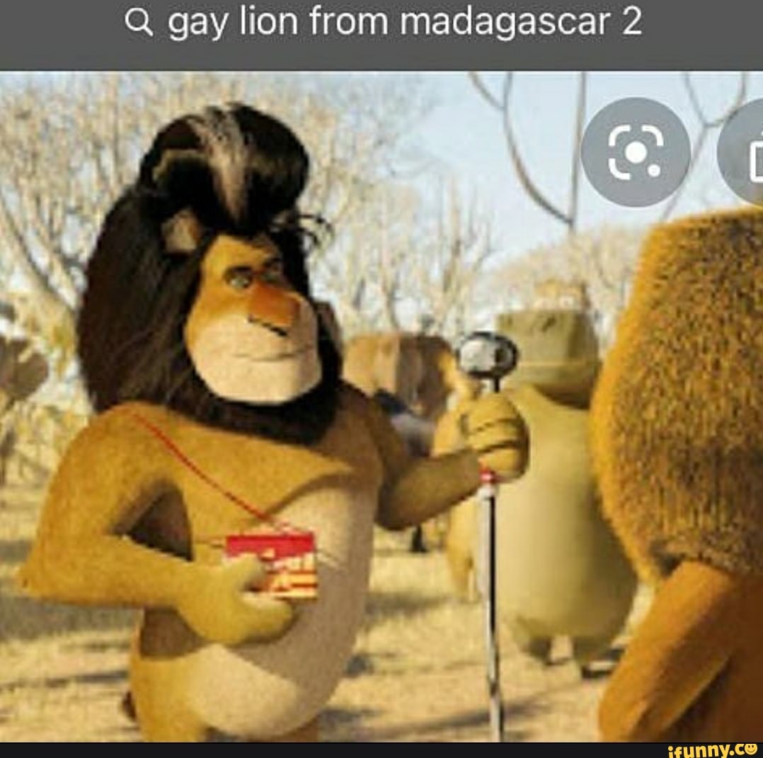 Gay lion from madagascar