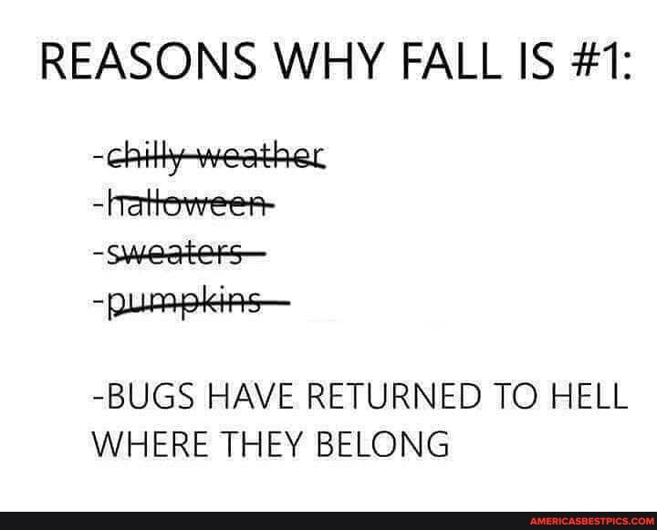REASONS WHY FALL IS #1:
-chity- weather
-atteweer-
-sweaters-
-pumpkins-
-BUGS HAVE RETURNED TO HELL WHERE THEY BELONG