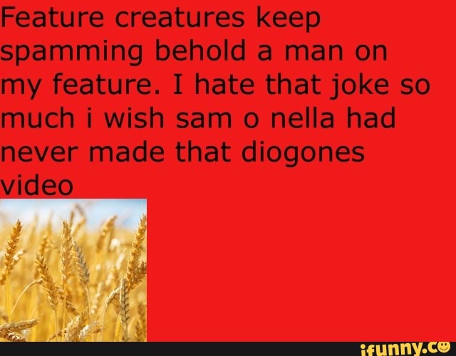 Feature creatures keep spamming behold a man on my feature. I hate that joke so much i wish sam o nella had never made that diogones video