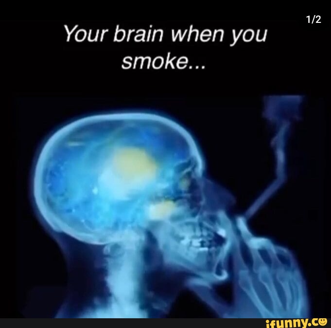 Your brain when you smoke... iFunny