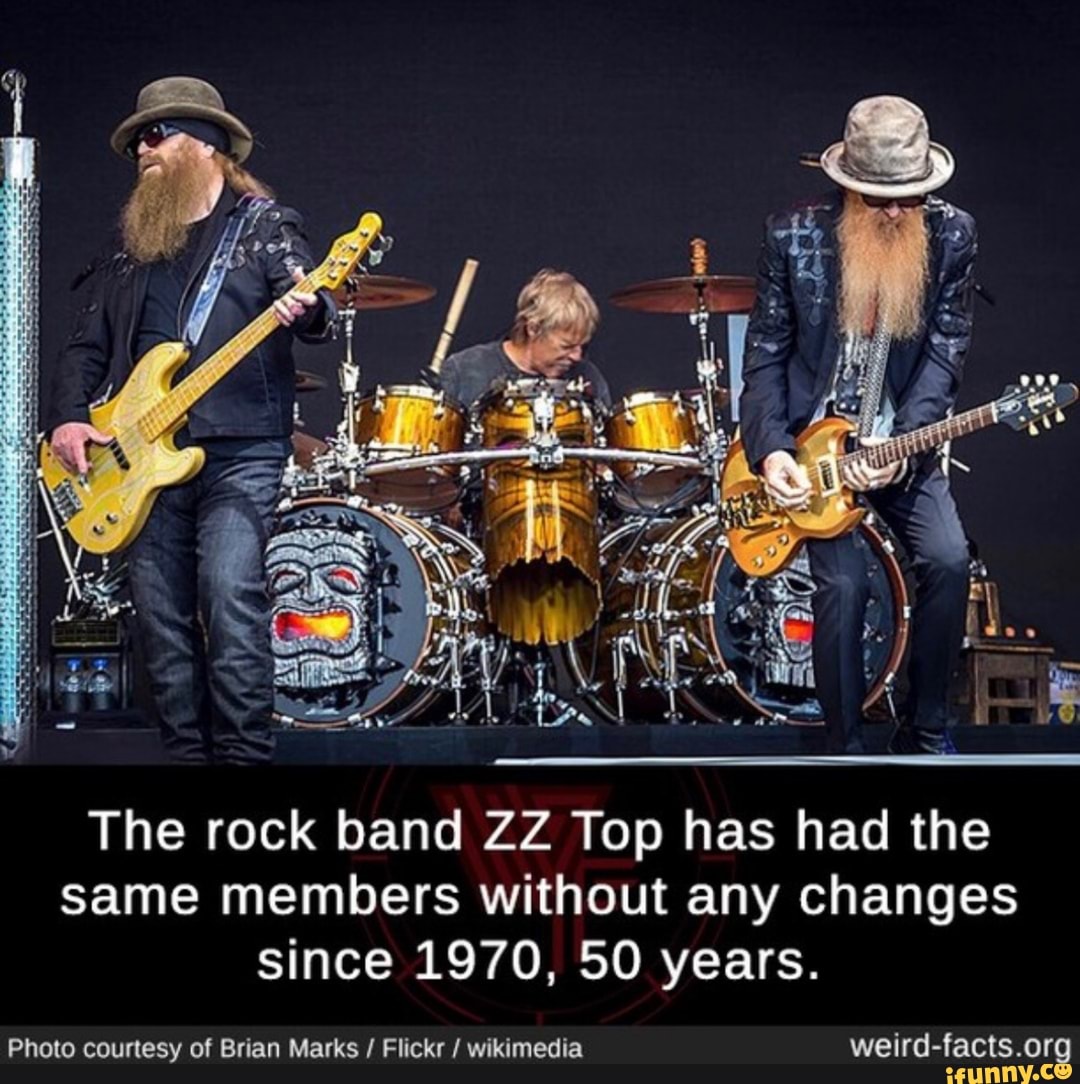 ZZ Top фото. ZZ Top best Hits кассета. Queers Band. The Beards Band.