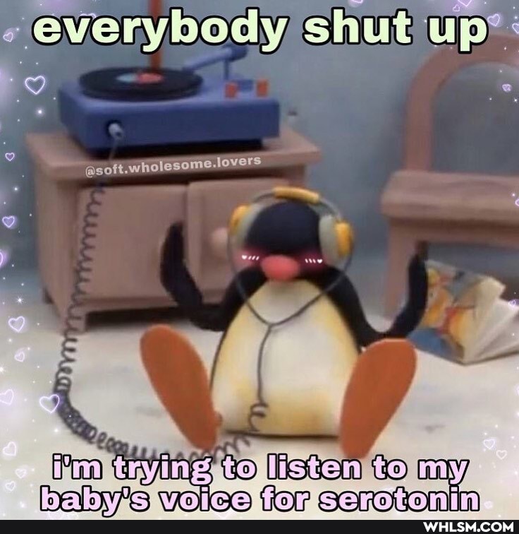 'everybod shut 'up*: y shut up*
@soft.wholesome.lovers