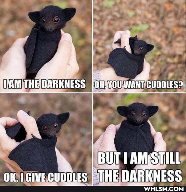 THE DARKNESS OH. WANT CUDOLES?
BUT AM-STILL av tcive punnice I THE DARKNESS