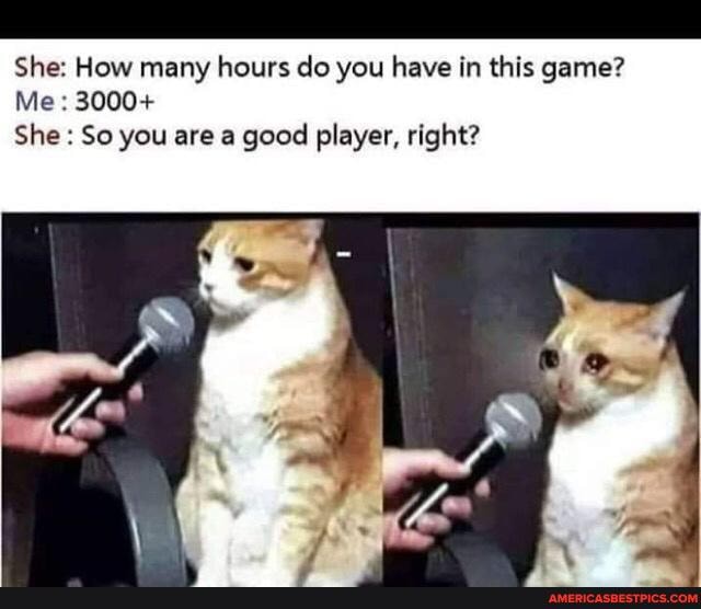 She: How many hours do you have in this game?
Me: 3000+
She : So you are a good player, right?