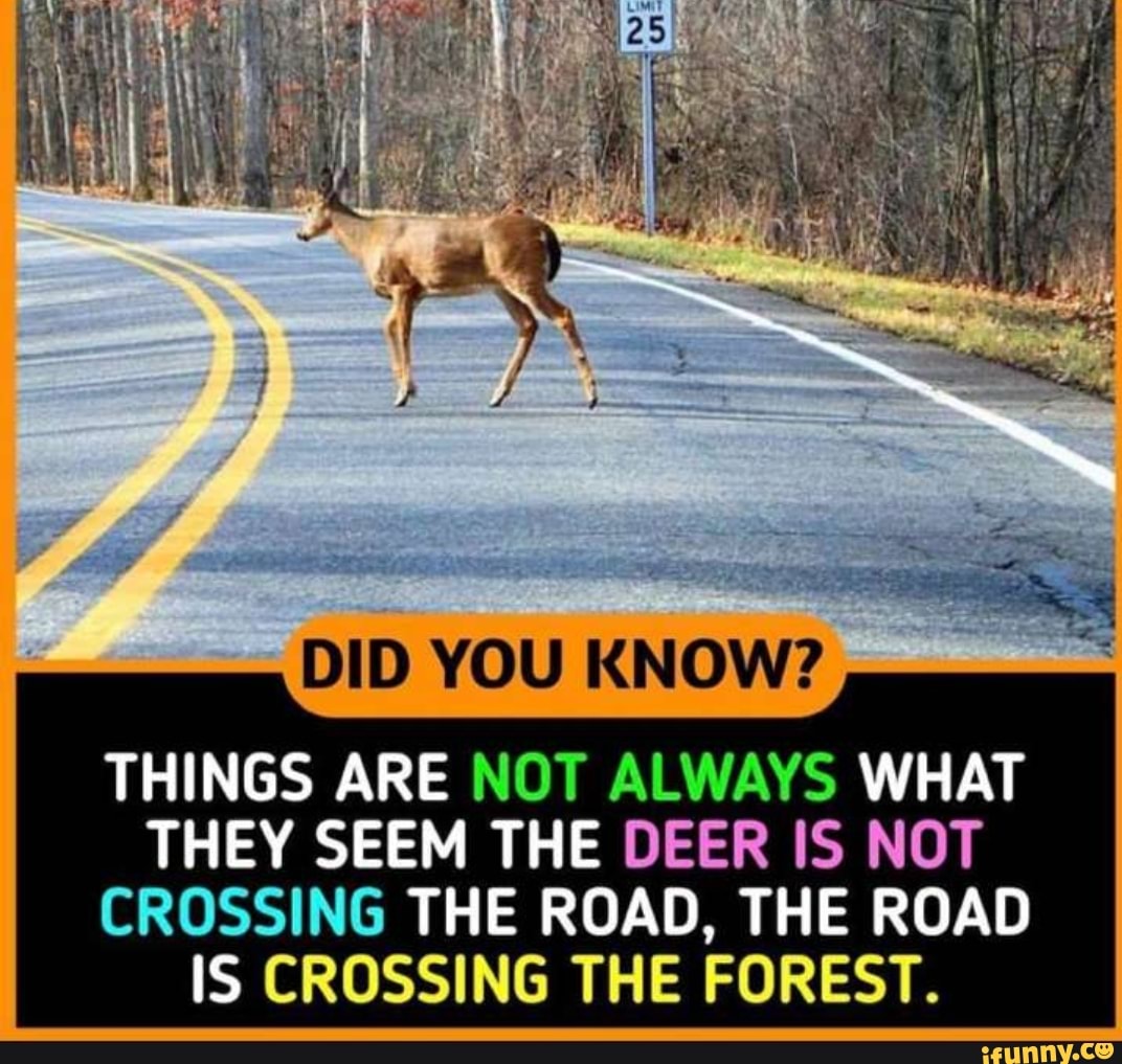 Things Are Not Always What They Seem The Deer Is Not Crossing The Road