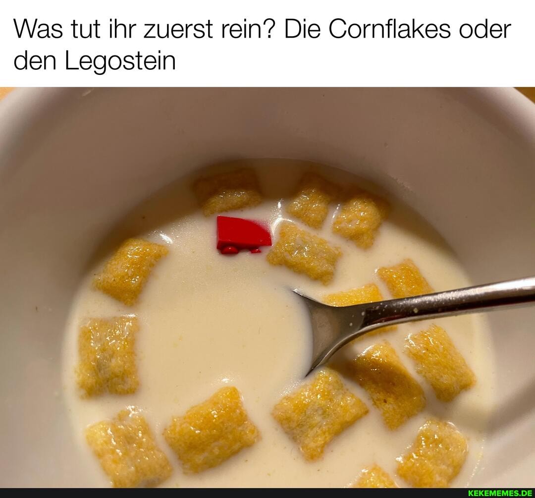 Was tut ihr zuerst rein? Die Cornflakes oder
den Legostein