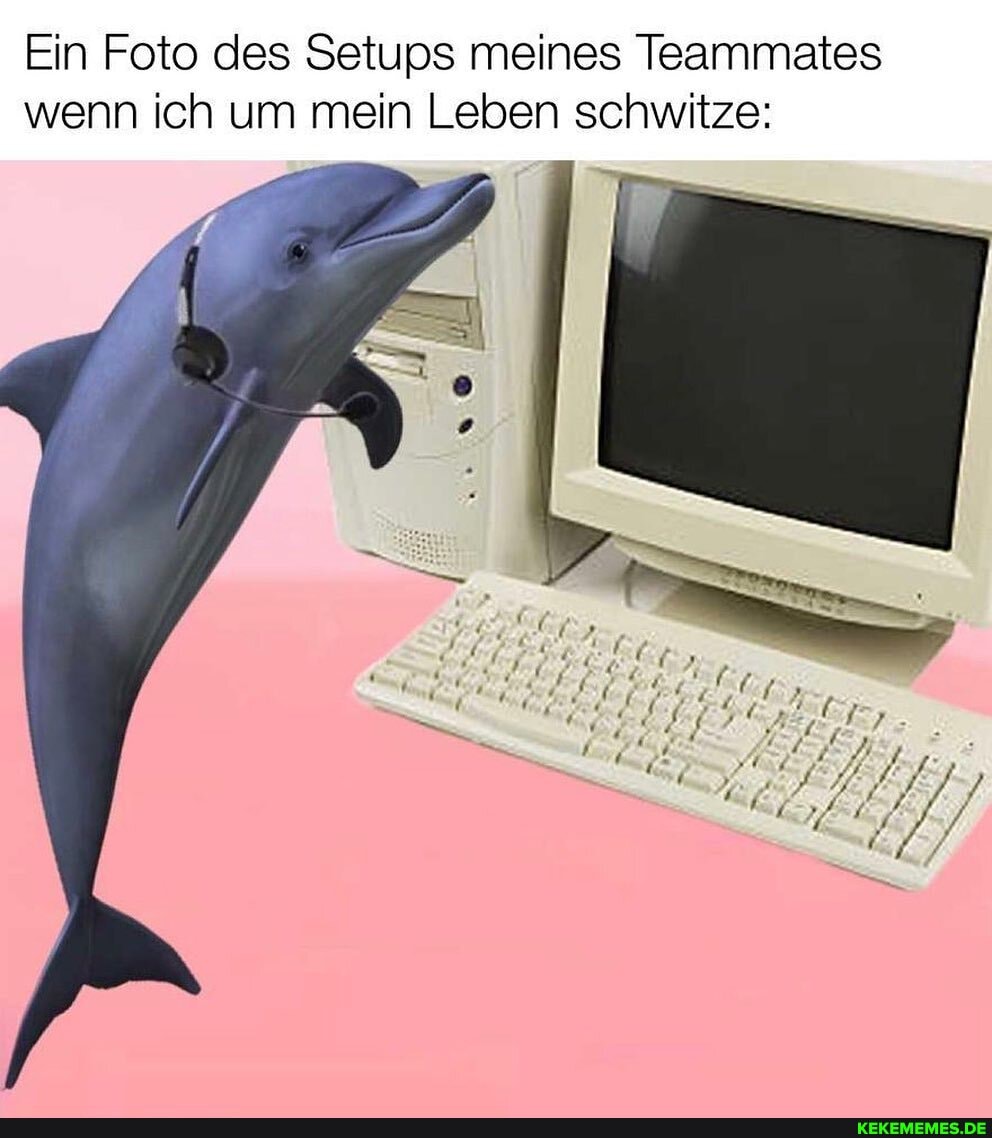 Ein Foto des Setups meines Teammates wenn ich um mein Leben schwitze: