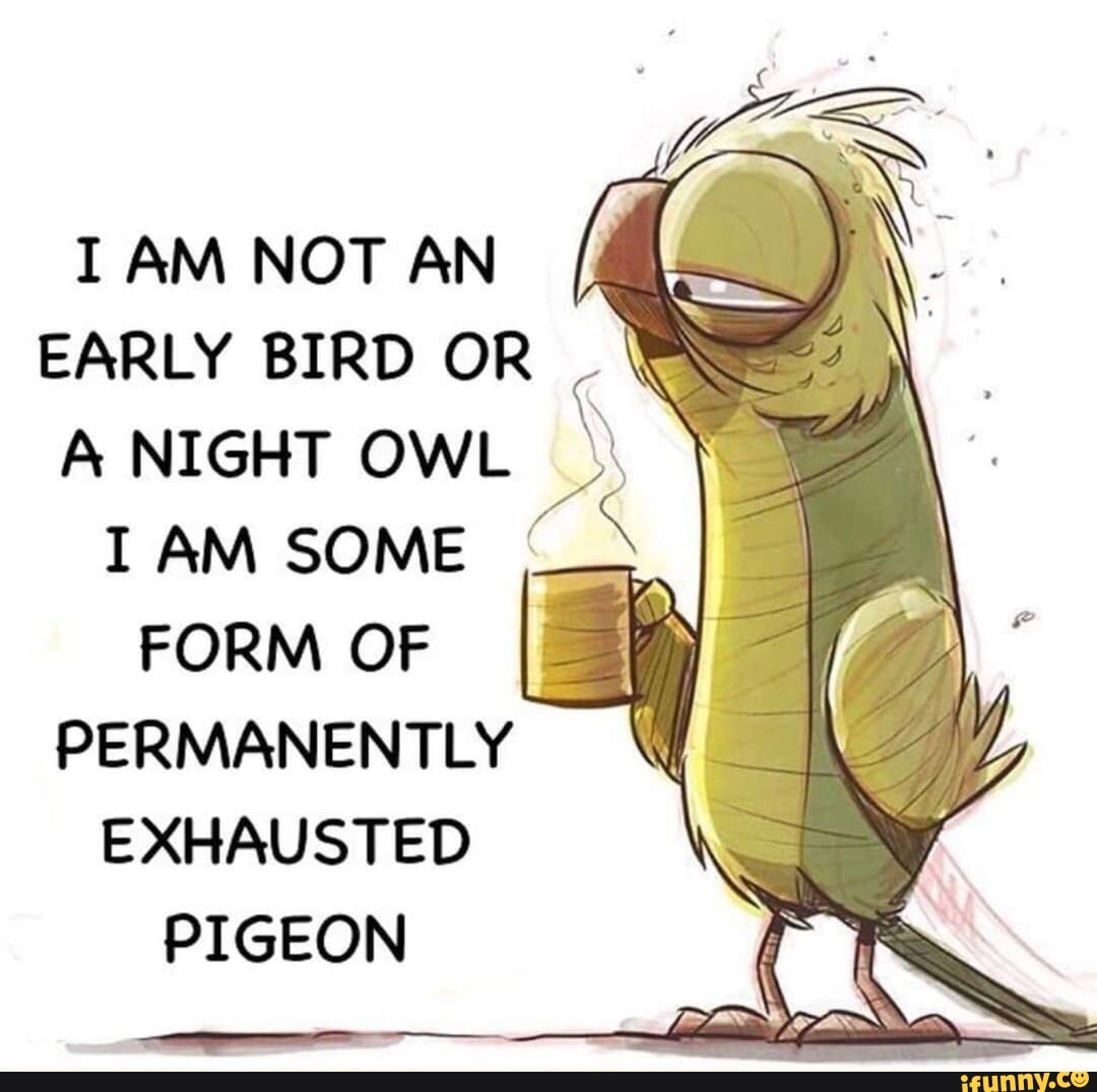 I AM NOT AN EARLY BIRD OR A NIGHT OWL NE I AM SOME FORM OF PERMANENTLY