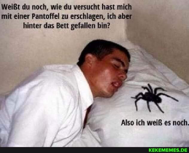 Weißt du noch, wie du versucht hast mich mit einer Pantoffel zu erschlagen, ich ab hinter das Bett gefallen bin?
Also ich weiß es noch.