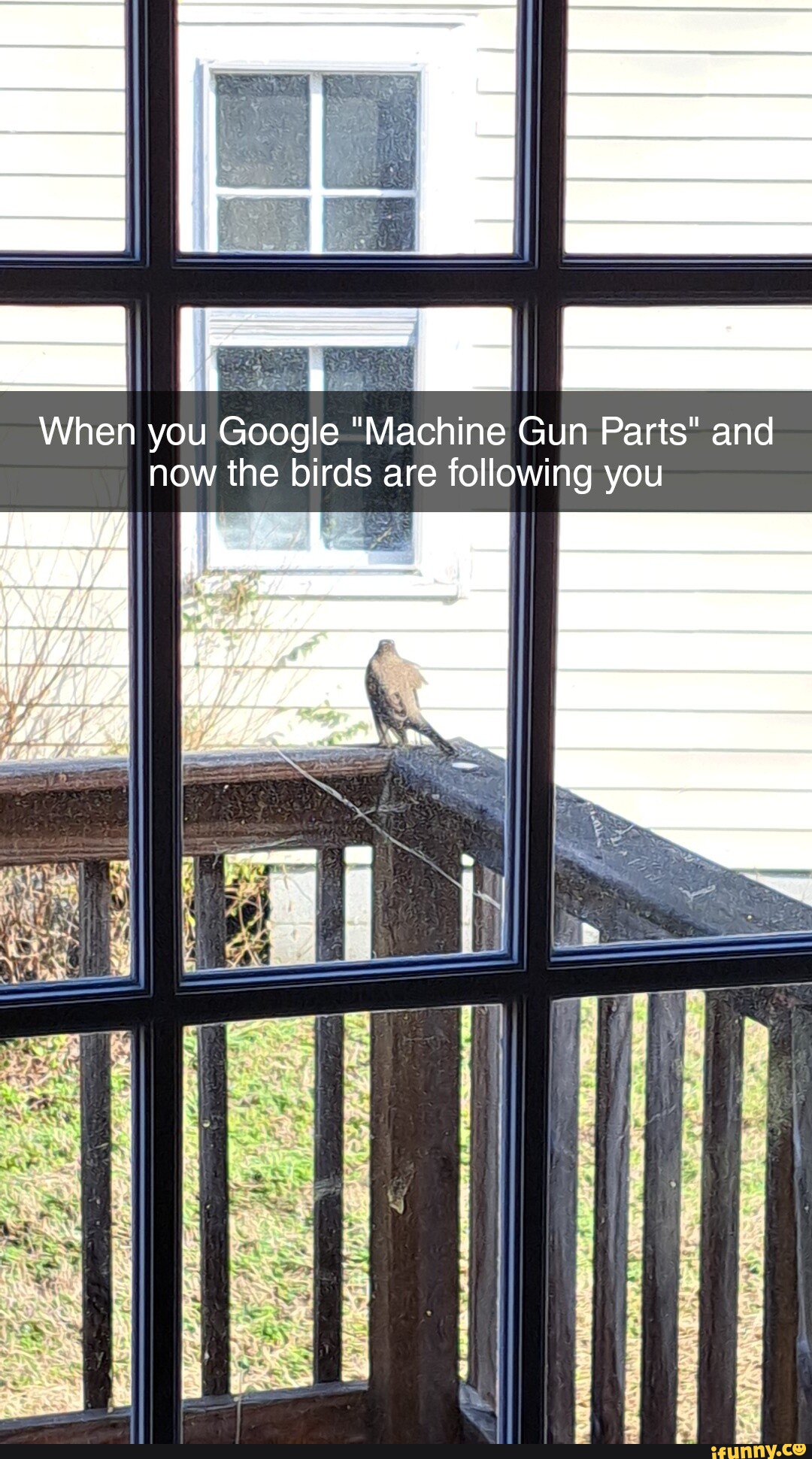 When you Google "Machine Gun Parts" and now the birds are following you