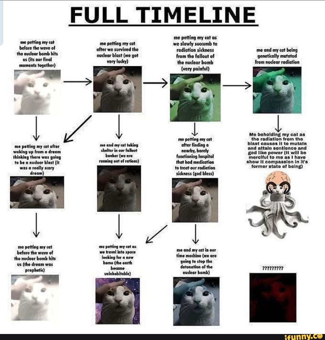 FULL TIMELINE me petting my cat as me petting my cot me potting my cat