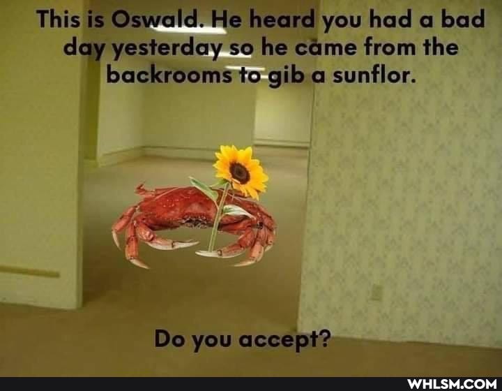 This is Oswallel_ He heared you @ cay yesiercay.so he came from the backroomstEgil
you accapi?