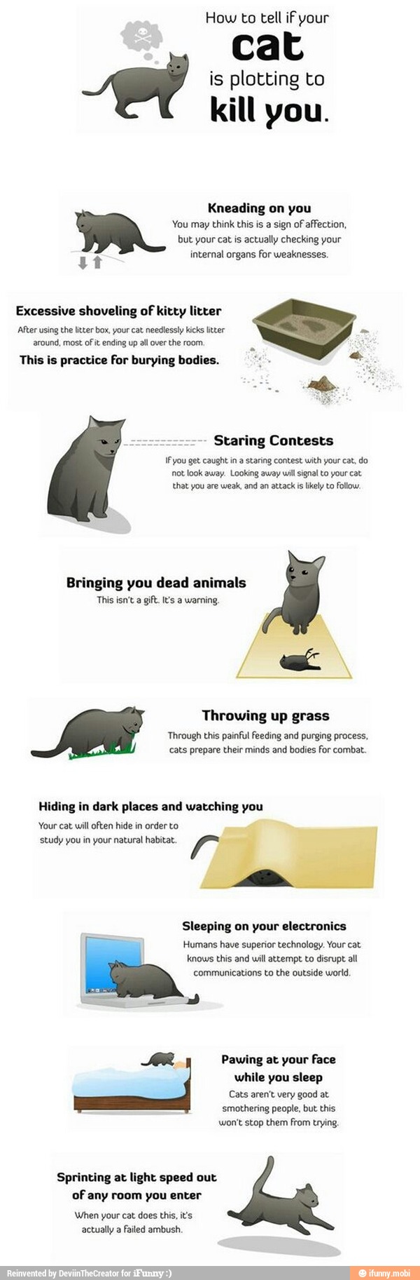 How to tell iF your cat is plotting to kill you. Kneading on you You ...