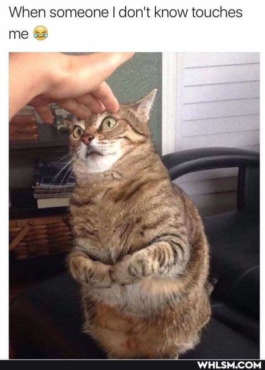 When someone I don't know touches
me @